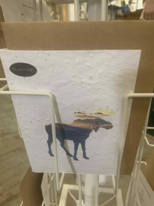 Moose Seed Card